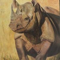 le rhinocéros