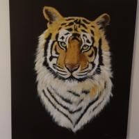 tigre royal